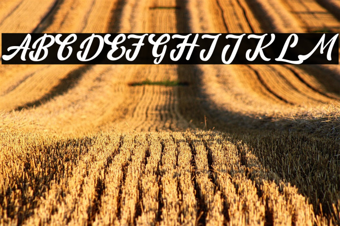 amaranthinedemo Example 2