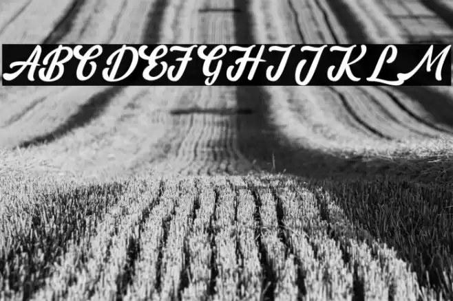 amaranthinedemo Font examples