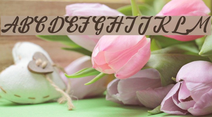 amaranthinedemo Font examples