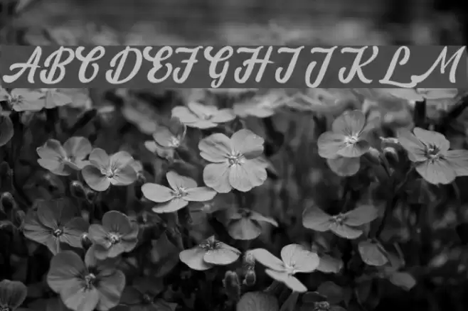 amaranthinedemo Font examples