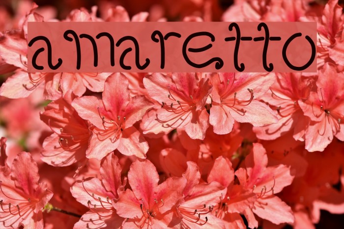 amaretto Font examples