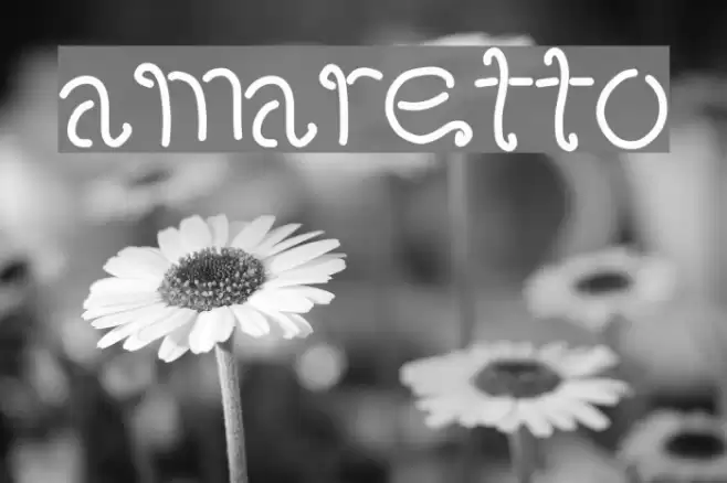 amaretto Font examples
