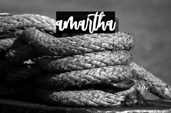 amartha Example 1