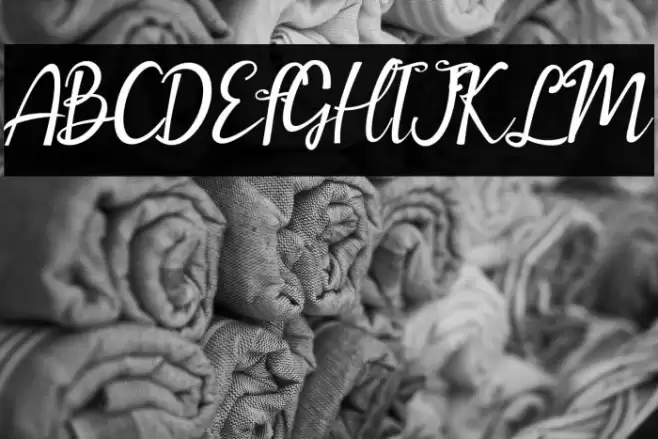 amellia Font examples