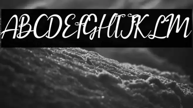 amellia Font examples