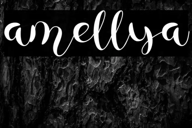 amellya Font examples