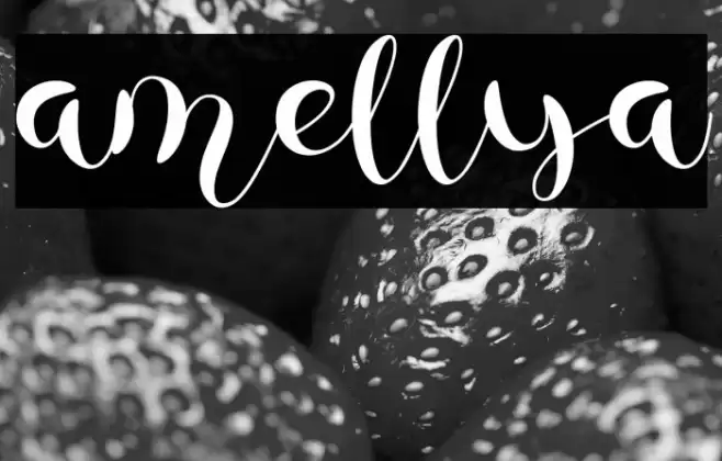 amellya Font examples