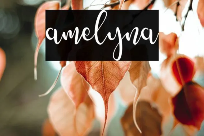 amelyna Example 2