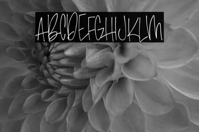 amethyst Font examples