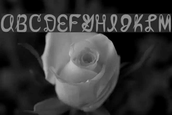 amixmuttRegular Font examples