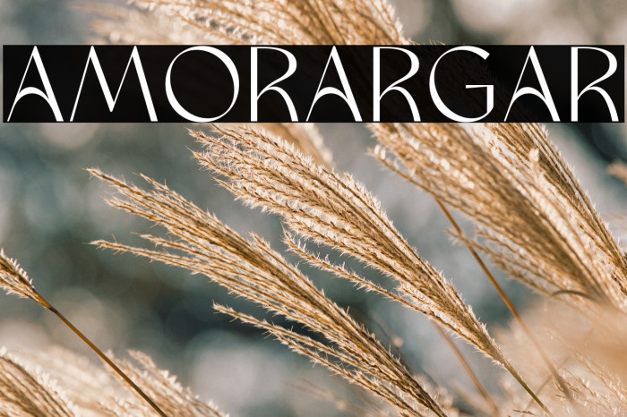 amoera Regular Example 2