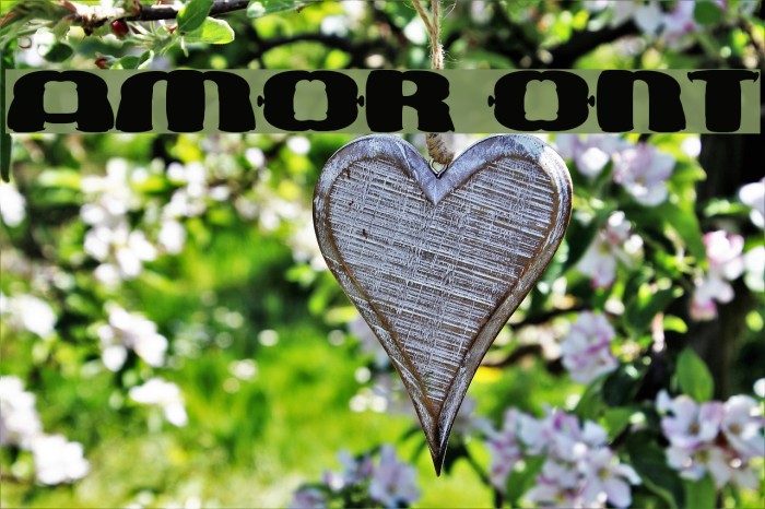 amor Font examples
