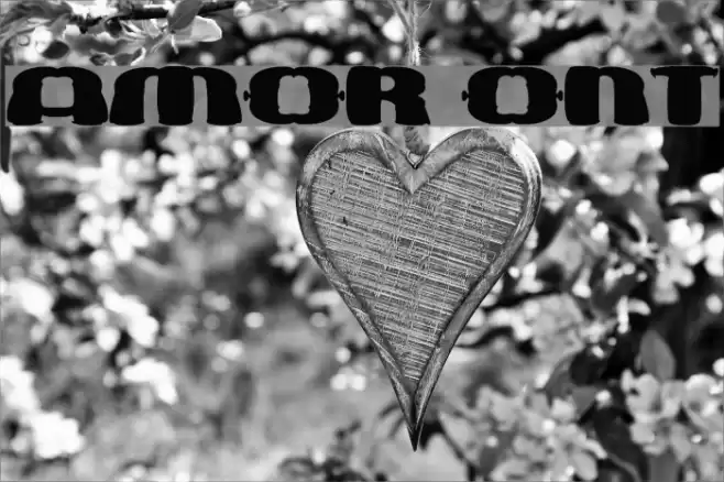 amor Fonte examples