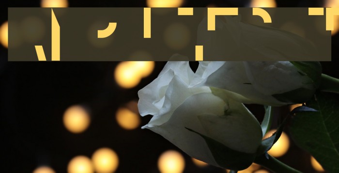 amputierte Font examples