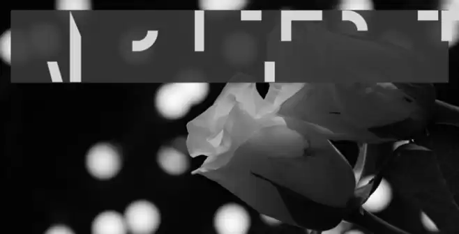 amputierte Font examples