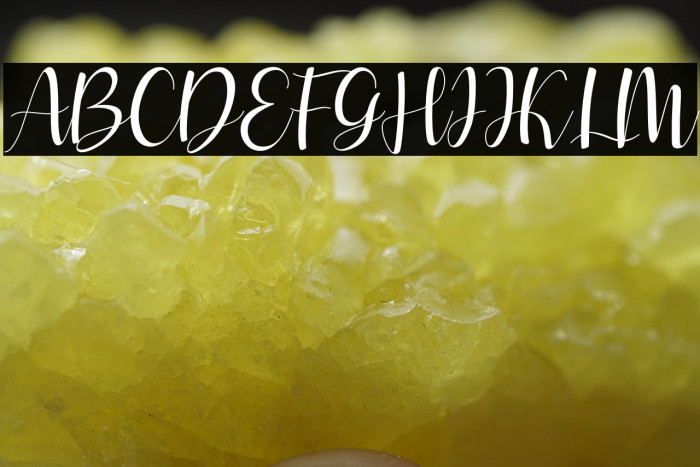 amsterdune Example 1