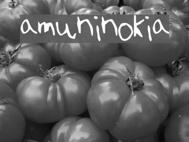 amuninokia 字体 examples