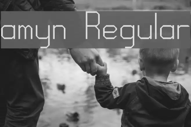 amyn Regular Font examples