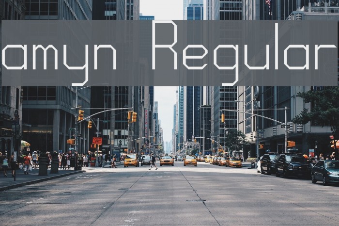 amyn Regular Font examples