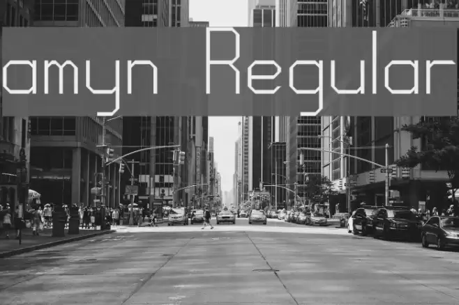 amyn Regular Font examples
