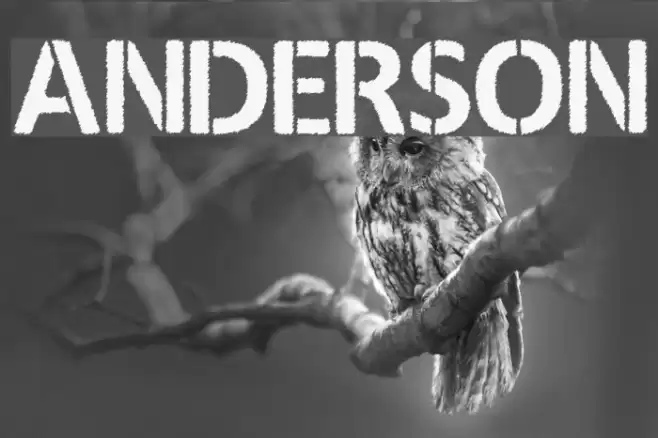 ANDERSON Font examples