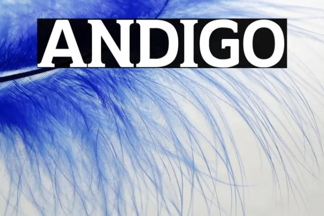 ANDIGO Example 3