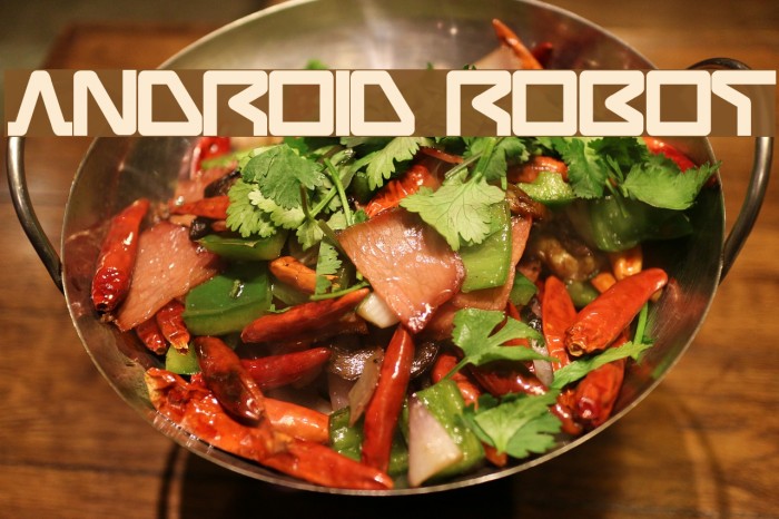 ANDROID ROBOT Example 2