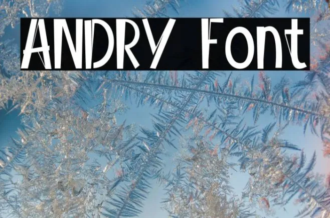 ANDRY Example 3