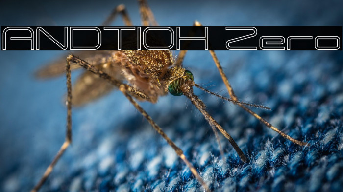 ANDTIOH Zero Example 2