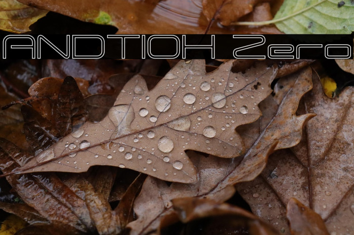 ANDTIOH Zero Example 3