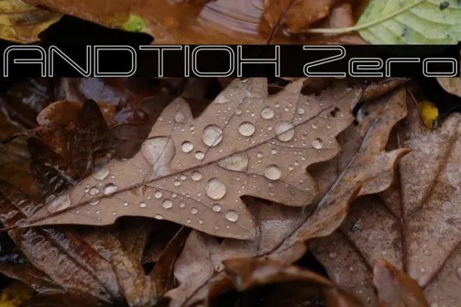ANDTIOH Zero Example 3
