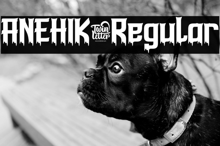 ANEHIK-Regular Example 2