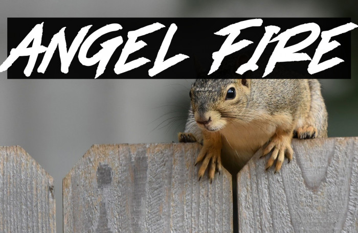 ANGEL FIRE Example 3