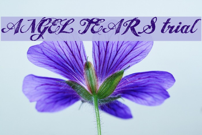 ANGEL TEARS trial Example 3