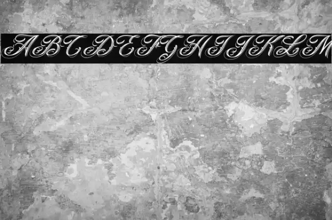 ANGELES PERSONAL USE Italic Font examples