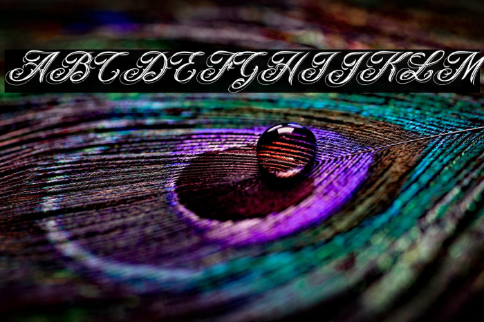 ANGELES ROUGH PERSONAL USE Bold Italic Example 1