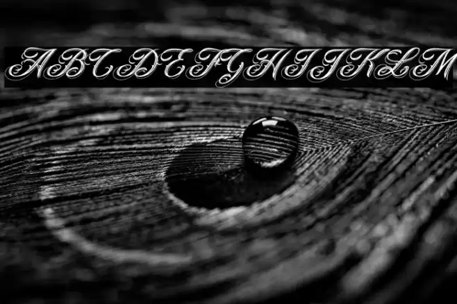 ANGELES ROUGH PERSONAL USE Bold Italic Font examples