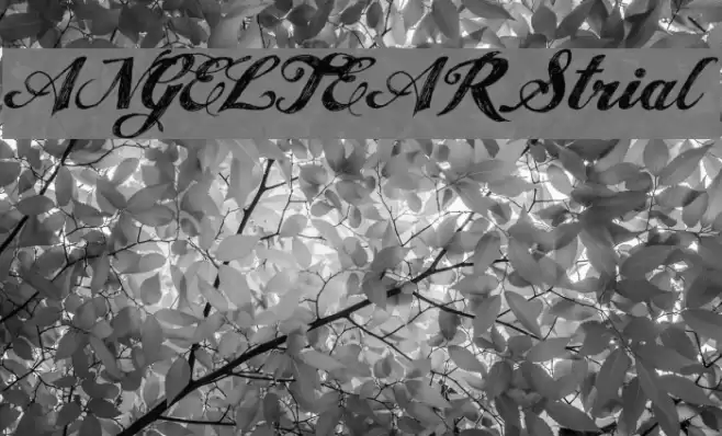 ANGELTEARS-trial Font examples