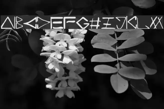 ANGLE_ Font examples