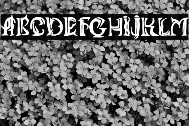 ANIIKLA Font examples