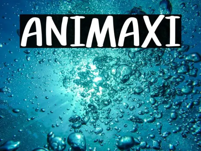 ANIMAXI Example 1