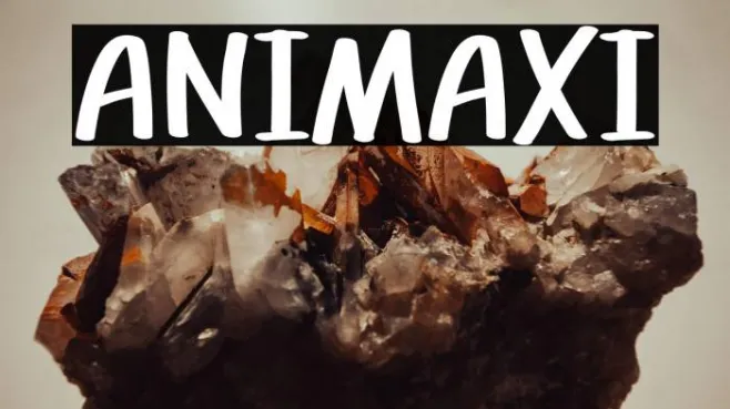 ANIMAXI Example 2