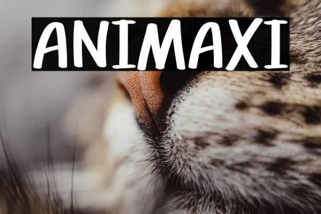 ANIMAXI Example 3