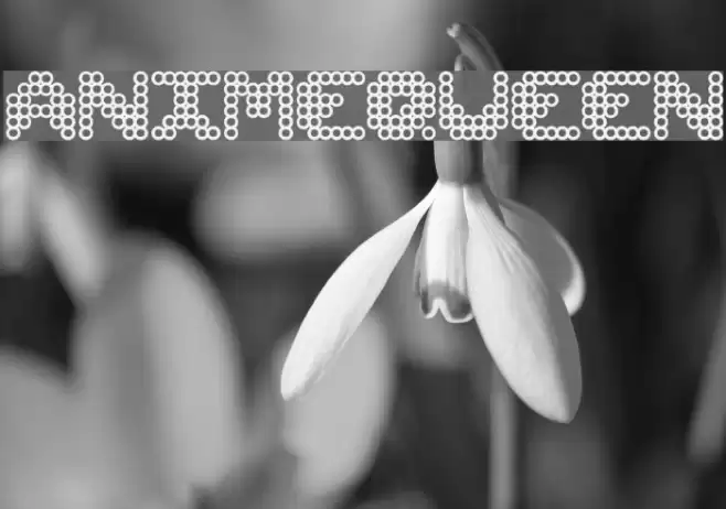 ANIMEQUEEN Font examples
