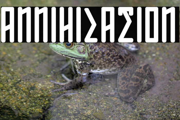 ANNIHILATION Example 1