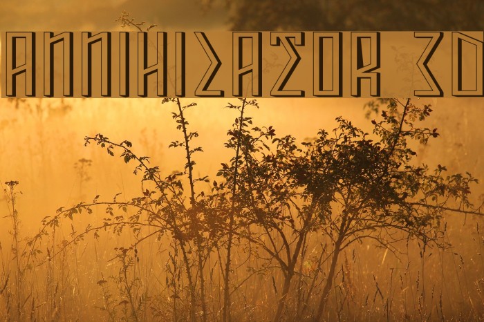 ANNIHILATOR 3D Example 1