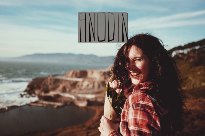 ANODIN Font examples