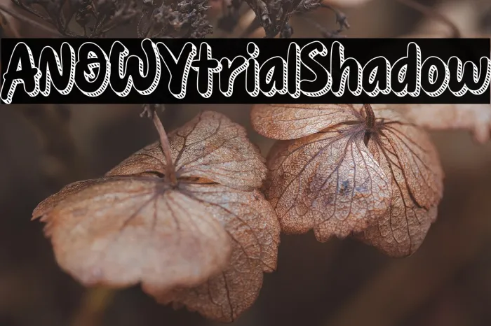 ANOWYtrial Shadow Example 1