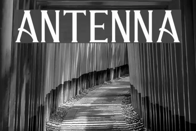 ANTENNA Font examples