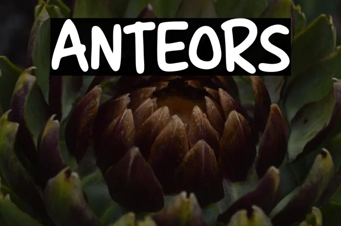 ANTEORS Example 1